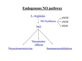 L-Arginine
NO
NO Synthases
Neurotransmission
Vasomotor
effects
Immunomodulation
Endogenous NO pathway
nNOS
eNOS
iNOS
 
