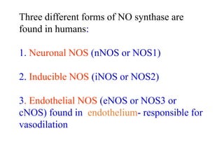 Three different forms of NO synthase are
found in humans:
1. Neuronal NOS (nNOS or NOS1)
2. Inducible NOS (iNOS or NOS2)
3. Endothelial NOS (eNOS or NOS3 or
cNOS) found in endothelium- responsible for
vasodilation
 