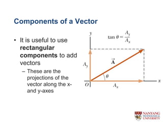 vector.pptx