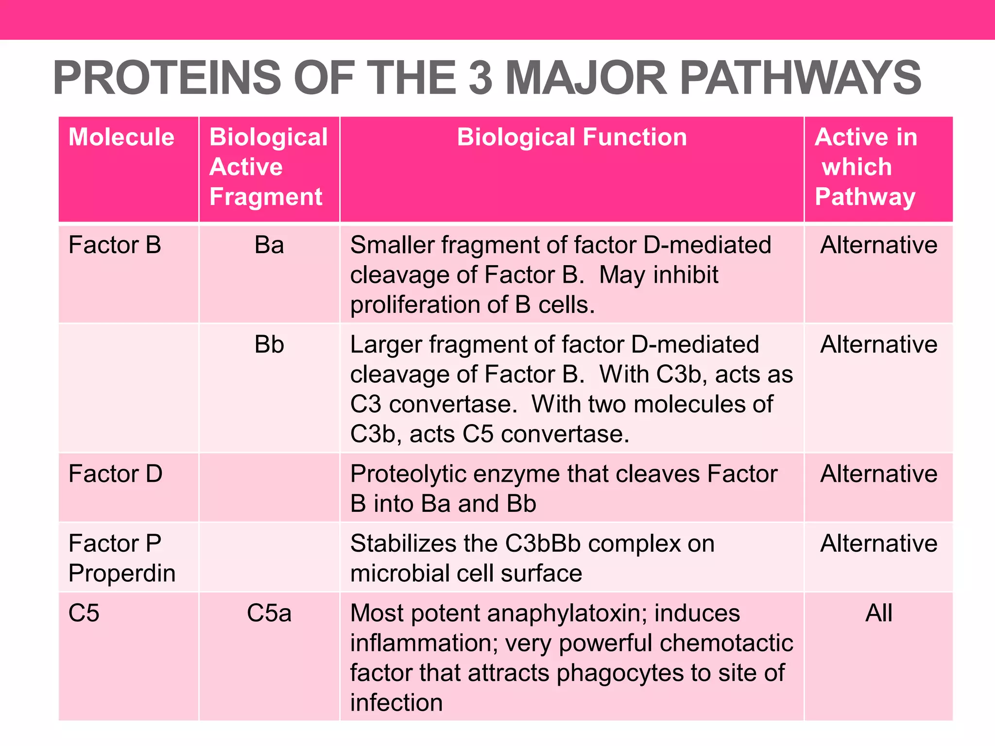 PROTEINS OF THE 3 MAJOR PATHWAYS
Molecule Biological
Active
Fragment
Biological Function Active in
which
Pathway
Factor B Ba Smaller fragment of factor D-mediated
cleavage of Factor B. May inhibit
proliferation of B cells.
Alternative
Bb Larger fragment of factor D-mediated
cleavage of Factor B. With C3b, acts as
C3 convertase. With two molecules of
C3b, acts C5 convertase.
Alternative
Factor D Proteolytic enzyme that cleaves Factor
B into Ba and Bb
Alternative
Factor P
Properdin
Stabilizes the C3bBb complex on
microbial cell surface
Alternative
C5 C5a Most potent anaphylatoxin; induces
inflammation; very powerful chemotactic
factor that attracts phagocytes to site of
infection
All
 