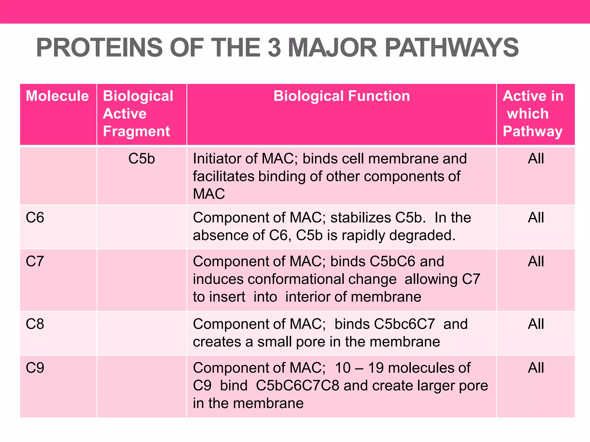 PROTEINS OF THE 3 MAJOR PATHWAYS
Molecule Biological
Active
Fragment
Biological Function Active in
which
Pathway
C5b Initiator of MAC; binds cell membrane and
facilitates binding of other components of
MAC
All
C6 Component of MAC; stabilizes C5b. In the
absence of C6, C5b is rapidly degraded.
All
C7 Component of MAC; binds C5bC6 and
induces conformational change allowing C7
to insert into interior of membrane
All
C8 Component of MAC; binds C5bc6C7 and
creates a small pore in the membrane
All
C9 Component of MAC; 10 – 19 molecules of
C9 bind C5bC6C7C8 and create larger pore
in the membrane
All
 