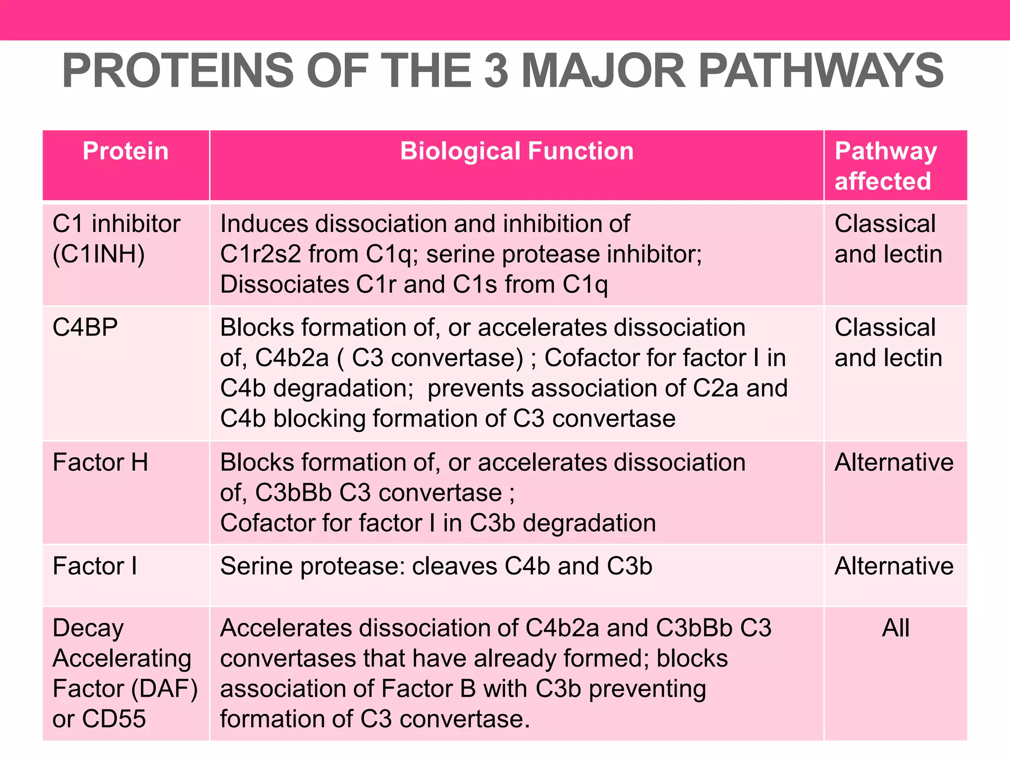 PROTEINS OF THE 3 MAJOR PATHWAYS
Protein Biological Function Pathway
affected
C1 inhibitor
(C1INH)
Induces dissociation and inhibition of
C1r2s2 from C1q; serine protease inhibitor;
Dissociates C1r and C1s from C1q
Classical
and lectin
C4BP Blocks formation of, or accelerates dissociation
of, C4b2a ( C3 convertase) ; Cofactor for factor I in
C4b degradation; prevents association of C2a and
C4b blocking formation of C3 convertase
Classical
and lectin
Factor H Blocks formation of, or accelerates dissociation
of, C3bBb C3 convertase ;
Cofactor for factor I in C3b degradation
Alternative
Factor I Serine protease: cleaves C4b and C3b Alternative
Decay
Accelerating
Factor (DAF)
or CD55
Accelerates dissociation of C4b2a and C3bBb C3
convertases that have already formed; blocks
association of Factor B with C3b preventing
formation of C3 convertase.
All
 