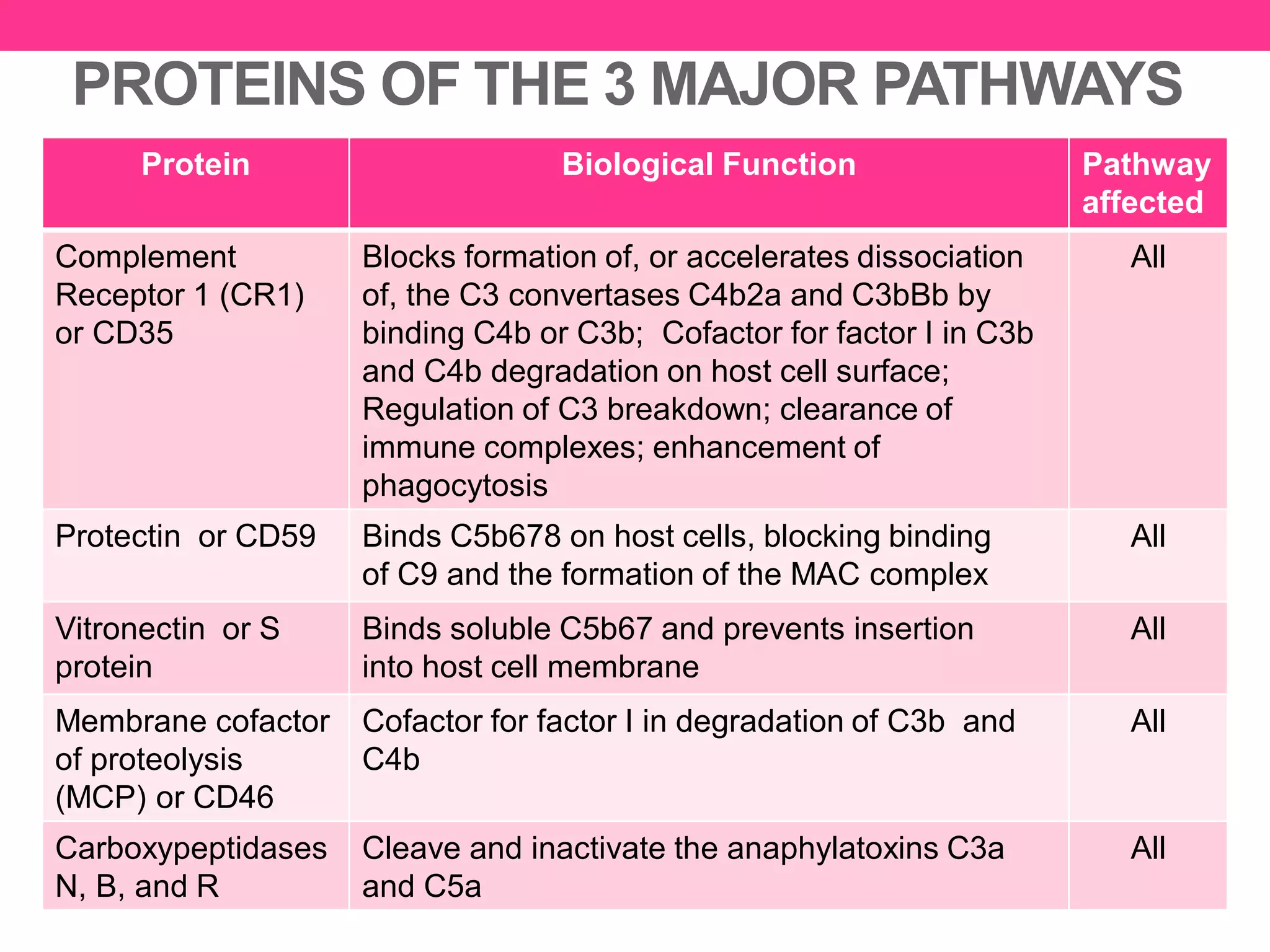 PROTEINS OF THE 3 MAJOR PATHWAYS
Protein Biological Function Pathway
affected
Complement
Receptor 1 (CR1)
or CD35
Blocks formation of, or accelerates dissociation
of, the C3 convertases C4b2a and C3bBb by
binding C4b or C3b; Cofactor for factor I in C3b
and C4b degradation on host cell surface;
Regulation of C3 breakdown; clearance of
immune complexes; enhancement of
phagocytosis
All
Protectin or CD59 Binds C5b678 on host cells, blocking binding
of C9 and the formation of the MAC complex
All
Vitronectin or S
protein
Binds soluble C5b67 and prevents insertion
into host cell membrane
All
Membrane cofactor
of proteolysis
(MCP) or CD46
Cofactor for factor I in degradation of C3b and
C4b
All
Carboxypeptidases
N, B, and R
Cleave and inactivate the anaphylatoxins C3a
and C5a
All
 