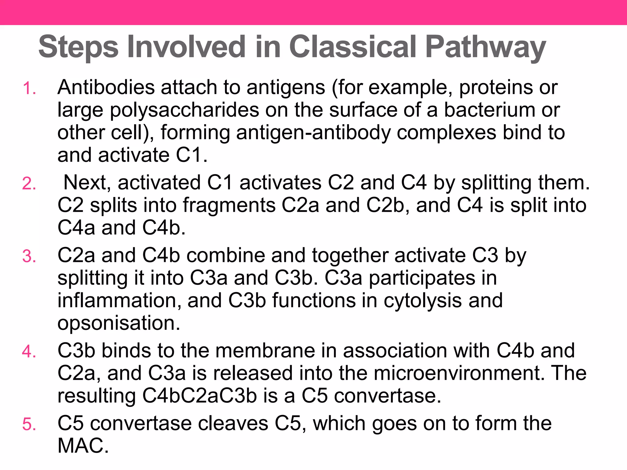 Steps Involved in Classical Pathway
1. Antibodies attach to antigens (for example, proteins or
large polysaccharides on the surface of a bacterium or
other cell), forming antigen-antibody complexes bind to
and activate C1.
2. Next, activated C1 activates C2 and C4 by splitting them.
C2 splits into fragments C2a and C2b, and C4 is split into
C4a and C4b.
3. C2a and C4b combine and together activate C3 by
splitting it into C3a and C3b. C3a participates in
inflammation, and C3b functions in cytolysis and
opsonisation.
4. C3b binds to the membrane in association with C4b and
C2a, and C3a is released into the microenvironment. The
resulting C4bC2aC3b is a C5 convertase.
5. C5 convertase cleaves C5, which goes on to form the
MAC.
 