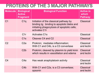 32 Proteins of the Complement System | PPT