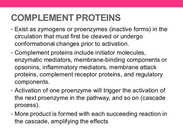 32 Proteins of the Complement System