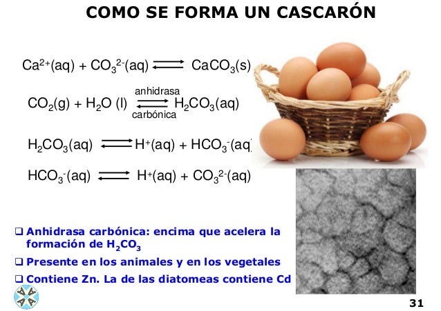 El pH en la vida cotidiana y en el medio ambiente