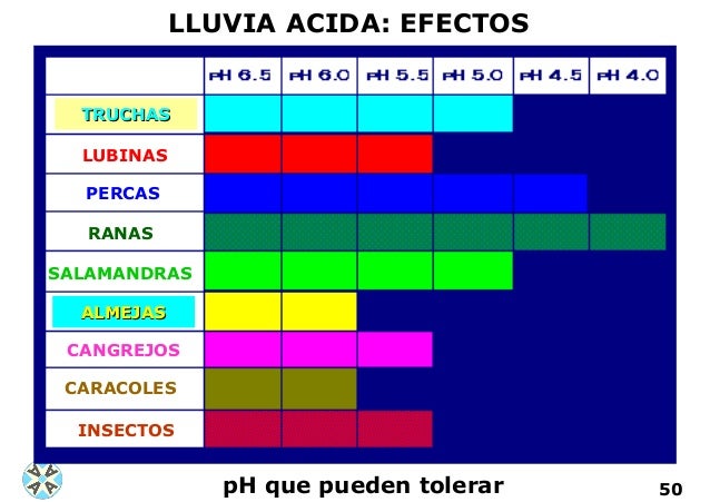 El pH en la vida cotidiana y en el medio ambiente
