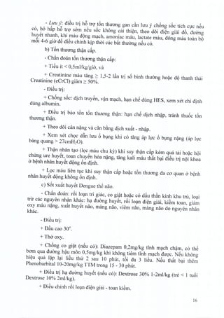 - Luu y: dieu tri h6 tro t6n thirong gan can hru y chong soc tich eire n6u
co, ho hap h6 tro som neu s6c khong cai thien, thea doi dien giai d6, duong
huyet nhanh, khi mau dong mach, amoniac mau, lactate rnau, dong mau toan bQ
m6i 4-6 gio dS dieu chinh kip thai cac b~t thuong neu co.
b) T6n thuang than c~p.
- Ch~n doan t6n thuong than c~p:
+ TiSu it < 0,5mllkg/gio', va
+ Creatinine mau tang 2: 1,5-2 l~n tri s6 binh thuong hoac dQ thanh thai
Creatinine (eCrCl) giam 2: 50%.
- DiSu tri:
+ Chong soc: dich truyen, v?n mach, han che dung HES, xem xet chi dinh
dung albumin.
+ DiSu tri bao t6n ton thuang than: han che dich nhap, tranh thuoc t6n
thirong than.
+ Theo doi can nang va din b~ng dich xu~t - nh?p.
+ Xem xet ch9c d~n luu 6 blng khi co tang ap h,rc 6 blng n?ng (ap h.xc
bang quang > 27cmH20).
+ Th?n nhan t~o (l9c mau chu ky) khi suy th?n c~p kern qua tai ho?c hQi
chUng ure huy6t, toan chuYSn hoa n?ng, tang kali mau th~t b~i diSu tri nQi khoa
o b~nh nhan huy6t d9ng 6n dinh.
+ L9c mau lien tlc khi suy th?n c~p ho?c t6n thuang da ca quan 0 b~nh
nhan huy6t d9ng khong 6n dinh.
c) S6t xu~t huy6t Dengue thS nao.
- Ch~n doan: r6i lo~n tri giac, co gi?t ho?c co d~u th~n kinh khu tru, lo~i
tn1 cac nguyen nhan khac: h~ duemg huy6t, r6i lo~n di~n giai, kiSm toan, giam
oxy mau n?ng, xu~t huy6t nao, mang nao, viem nao, mang nao do nguyen nhan
khac.
- DiSu tri:
, 0
+ Dau cao 30 .
+ Tho oxy.
+ Ch6ng co gi?t (n6u co): Diazepam 0,2mg/kg tInh m~ch ch?m, co thS
bam qua duemg h?u mon 0,5mg/kg khi khong tiem tInh m~ch dugc. N6u khong
hi~u qua l?p l~i liSu thu 2 sau 1° philt, t6i da 3 liSu. NSu th~t b~i them
Phenobarbital IO-20mg/kg TTM trong 15 - 30 phut.
+ DiSu tri h~ duemg huy6t (n6u co): Dextrose 30% I-2mllkg (tre < 1 tu6i
Dextrose 10% 2mllkg).
+ DiSu chinh r6i lo~n di~n giai - toan kiSm.
16
 