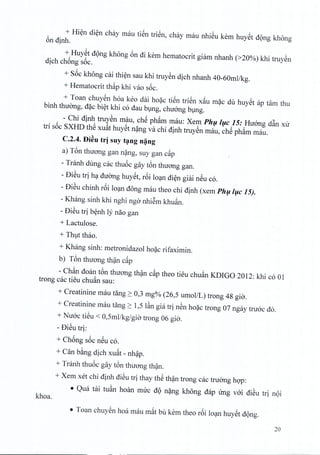 + Hien dien chay mau tien trien, chay rnau nhieu kern huyet dong khong
6n dinh,
+ Huyet d<)ngkh6ng 6n di kern hematocrit giam nhanh (>20%) khi truyen
dich chong soc.
+ s6c khong cai thien sau khi truyen dich nhanh 40-60mIlkg.
+ Hematocrit thap khi vao s6c.
+ Toan chuyen hoa keo dai hoac ti~n trien x~u mac du huyet ap tam thu
binh thuong, d?c biet khi co dau bung, chuong bung,
- Chi dinh truyen mau, che pharn mau: Xem Phu luc 15: Hu6ng d~n xu
tri s6c SXHD thS xu~t huyet n?ng va chi dinh truyen rnau, che pham rnau.
C.2.4. f)i~u tr] suy t~ng n~ng
a) T6n thuong gan n?ng, suy gan cap
- Tranh dung cac thuoc gay t6n thuong gan.
- DiSu tri ha duong huyet, r6i loan dien giai neu co.
- DiSu chinh r6i lo~n dong mau theo chi dinh (xem Ph(l/(lc 15).
- Khang sinh khi nghi nga nhiSm khucin.
- DiSu tri b~nh 1ynao gan
+ Lactu1ose.
+ Thlt thao.
+ Khang sinh: metronidazoI ho?c rifaximin.
b) T6n thuang th?n c~p
- Chc1ndoan t6n thuong th?n c~p theo tieu chuc1nKDIGO 2012: khi co 01
trong cac tieu chuc1nsau:
+ Creatinine mau tang ~ 0,3 mg% (26,5 umoIlL) trong 48 gia.
+ Creatinine mau tang ~ 1,5 l~n gia tr! nSn ho?c trong 07 ngay truac do.
+ Nuac tiSu < 0,5mIlkg/gia trong 06 gia.
- DiSu tri:
+ Ch6ng s6c n~u co.
+ Can b~ng dich xu~t - nh?p.
+ Tranh thu6c gay t6n thuang th?n.
+ Xem xet chi dinh di~u tri thay th~ th?n trong cac truemg hqp:
• Qua titi tu~n hoan muc d(>n?ng kh6ng dap trng vai diSu tri n(>i
khoa.
• Toan chuySn hoa mau m~t bu kern theo r6i lo~n huy~t d(>ng.
20
 