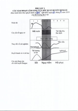 PHVLVCl
cAc GIAI J)OAN LAM SANG CVA SOT XUAT HUYET DENGUE
(Ban hanh kern the~ Quyet dinh s63=FOf" IQD-Byr: ngay~)_ thang ~ nam 2019
cua B(J truirng B(J Y te)
Nhiet dQ
Cac ySu t6 nguy co
Thay dbi v~ xet nghiem
Huyet thanh va vi nit h9C
Cac giai doan cua
s6t xuih huyet Dengue
7 8 9 10
Taihapthu
Du dich
s6t Nguy hi~m Hoi phuc
 