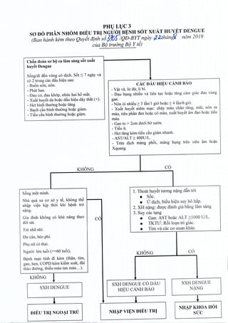 PHULUC3
sa DO PHAN NHOM DIEU TRI NGU'<'noBENHSOT XUAT HUYET DENGUE
(Ban hanh kem thea Quydt dinh·s631OSlQ-D-BYT ngay rJ.J.thimg<; nam 2019
cua B9 truCrngB9 Y td)
Ch~n doan so' hi} ca lam sang sat xu At
huyet Dengue
Song/di d~n vung co dich. S6t :S 7 ngay va
co 2 trong cac d~u hieu sau:
- Bu6n non, non.
- Phat ban.
- Dau co, dau khop, nlnrc hai h6 m~t.
- Xu~t huyet da boac d~u hieu day th~t (+).
- Hct binh thirong hoac tang
- Bach du binh thuong hoac giam.
- Ti~u du binh thuong hoac giam.
KHONG
cAc DAuHI¥U CANH BAo
- V~t va, hr dir, Ii bi.
_ Dau bung nhieu va lien tuc hoac tang cam giac dau vung
gan.
_Non oi nhieu ~ 3 IAnll gio hoac ~ 4 IAn/6gio.
_ Xu~t huyet niem mac: chay mau chan rang, miii, non ra
mau, tieu phan den hoac co mau, xu~t huyet am dao hoac tieu
mau.
- Gan to > 2cm duoi booSUOll.
- Ti~u it.
- Hct tang kern tieu cAugiam nhanh.
- AST/ALT ~ 400U/L.
_ Tran dich mang ph6i, mfll1g bl,lng tren sieu am hoZic
Xquang.
co
S6ng mQt minh.
Nha qua xa CO" sa y t6, khong th~
nh~p vi~n kip thO·i khi b~nh tra
nZing.
Gia dlnh khong c6 kha nang thea
d6i sat.
Tre nhu nhi.
Dlf din, beo phi.
Ph! nu·co thai.
Nguai Ian tu6i (>=60 tu6i).
B~nh nwn tinh di kem (th~n, tim,
gan, hen, COPD kem ki~m soat, dai
thao duang, thi6u mau tan mau ... ).
KHONG !
SXHDENGUE
DIEU TRJ NGO~I TRU
co
1. Thocit huy€t tuong n~ng d~n t6i
• S6c.
• V dich, biSu hi~n suy h6 hAp.
2. XH n~ng: duQ'cdanh gia b~ng lam sang
3. Suy cac t<?-ng
• Gan: AST ho~c ALT 2:.1000U/L.
• TKTV: R6i lo<;mtri giac.
• Tim va cac co quan khac.
coKHONG
SXHDENGUE
NANG
SXH DENGUE co DAu
HIEU CANH BAo
NH~P VIJtN DIEU TRJ
NHAP KHOA HOI
. sue
 