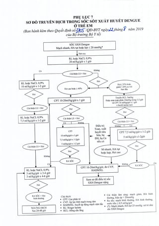 PHl) Ll)C 7
sa DO TRUYEN DICH TRONG soc SOT XUAT HUYET DENGUE
OTREEM
(Ban hanh kern thea Quyet dinh s6j70S-IQD-Byr:ngayrJl...thangf nam 2019
cua B9 truOng B9 Y te)
SOC SXH Dengue
Mach nhanh, HA tut hoac ket ::;20 mmHg*
~ Tho oxy
RL hoac NaCL 0,9%
20 ml/kg/gio x 1 gio
~
C6
RL hoac NaCL 0,9%
10 ml/kg/gio x 1-2 gio
Khong
RL hoac NaCL 0,9%
7,5 mllkg/gia x 1-2 gia
Het:S35% hoac
giam> 20% so voi
ban d§u
C6
Het cao hoac 2: 40%
Khong
RL hoac NaCL 0,9%
5 ml/kg/gio x 3-4 gio
3 ml/kg/gio x 4-6 gio
Truyen HCL 5ml/kg
Hoac mau toan phfin IOml/kg trong 1-2 gio
va CPT 10 ml/kg/gio x I gia
± huvet wang nroi
RASOC+Hct
NGU'NGDKH
Sau 24-48 gia
CPT 10-20mllkg/gia x 1 gio
Di€u tri:
Toan, xuM
huyet tieu
+- hoa, ha
DH, ha Ca
neu co
CPT
10 ml/kg/gio x I gio
7,5 ml/kg/gio x l-Zgi«
5 ml/kg/gio x 1-2 gia
CPT 7,5 rnl/kg/gio x 1-2 gio
5 mllkg/giO' x l-zgio
M nhanh, HA tut
hoac kep, Hct cao
C6Khong
RASOC
CPT 10-20mllkg/giO', do CYP,
HADMXL
Xem sa db di€u tri s6c
SXH Dengue nang
Chu thich:
• CPT: Cao phan nr
• CVP: Ap hrc tinh milch trung tam
• HADMXL: huyet ap d¢ng milch xam lfm
• RL: Ringer lactate
• HCL: Hbng d.u l~ng
Cai thien lam sang: mach giarn, HA binh
thuong, hieu ap > 20mmHg
• Ra soc: milch blnh thuong, HA binh thuong,
ruroc tieu 2': 0,5 ml/kg/gio
• (*): Milch nhanh, HA k~t 25 mll1Hg: xu tri nhv
s5c SXH Dengue
 