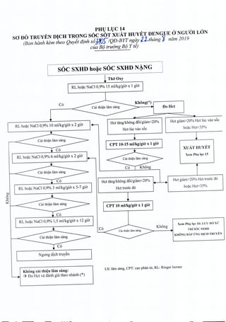 PHULUC 14
SO noTRUYEN DICH TRONG SOC SOT XUAT HUYET DENGUE aNGUClI LON
(Ban hanh kern thea Quyit dinh s8Jl0)/QD-BYTngay ~2-thimg '¥ nam 2019
cua Be) truiYngBe} Y ti)
SOC SXHD boac soc SXHD NANG. .
Tho-Oxy
RL hoac NaCI 0,9% 15 ml/kg/gi« x 1 gio
C6
RL hoac NaCI 0,9% 10 ml/kg/gio x 2 gio
RL hoac NaCI 0,9% 3 ml/kg/gio x 5-7 gio
en
c
'0
..c
~
RL hoac NaCI 0,9% 1,5 ml/kg/gio x 12 gio
Ngirng dich truyen
Khong eai thi~n lam sang:
-7 Do Het va danh gia thea nhanh (*)
BoHet
Het tang/khong d5i/giam<20%
Het luc vao s5e
CPT 10-15 mllkg/giO' x 1 giO'
Het tang/khong d5i/giam<20%
Het truce d6
CPT 10 mllkg/giO' x 1 giO'
Kh6ng
Hct giam>20% Het luc vao s5e
hoac Het<35%
XUATHUYET
Xem PhI} Il}c 15
Het giam>20% Het truce do
hoac Het<35%
Xcm PhI} luc 16: LU'UDO xu'
TRisOCSXHD
KHONG DAP (J'NGD1CHTRUYEN
LS: Himsang, CPT: cao phan tir, RL: Ringer lactate
 