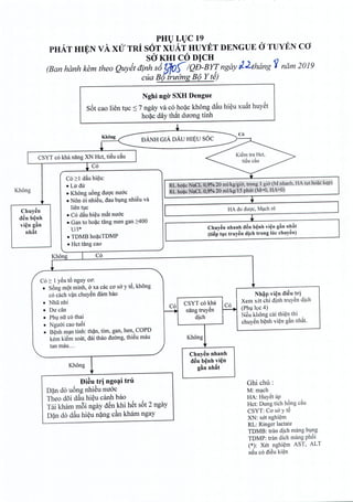 PHULUC 19
PHAT HI_¢NvA xu TRi SOT xuAiHUYET DENGUE (j TUYEN CO
saKHI Co DICH
(Ban hanh kern thea Quy~tdinh s6!ifo.)IQD-BY!'ngay l-r2thang 1ndm 2019
cua B(J trudng B(J Y te)
Nghi ngo SXH Dengue
S5t cao lien tuc :S 7 ngay va co hoac khong d~u hieu xu~t huyet
hoac day that dirong tinh
+
Khong
DANH GIA DAu HIBU SOC
C6
r
r CSYT co kha nang XN Het, ti~u e~u I Kierntra Het,
.. C6
tieu cau
C62:1 dau hieu:
Khong
• Lir du Rfhoae ~aCL 0,9;0 20".rn1/kw'gib',trong Lgic (M nhanh,HA tltho(ic kep)
• Khong uong duoc nuoc M1io~c;t[aqJ)~~% 2Q'mjLky15ph&fcM",O, HA'=;'Q)
• Non 6i nhieu, dau bung nhieu va ..
Chuyen
lien We
I HA do duoc, Mach ro I
d~n b~nh
• C6 dftu hieu mfrtnuoc
• Gan to hoac tang men gan 2:400 +vi~n gall
nh§t U/l* Chuyen nhanh d~n b~nhvi~n g§n nhllt
• TOMB ho~eTDMP
(ti~p tuc truy~n djch trong hie chuyen)
• Hct tang cao
Khong I C6
C6 2: I y€u t6 nguy 00':
• Song mot minh, a xa cac co sa y t€, khong
co each v~n ehuy~n dam bao
r Nh~p vi~n di~u tri
• Nhli nhi CSYT e6 kha
~
Xem xet chi dinh truy~n dieh
• Du din I~ nang truy~n (PhlIle 4)
• Phl nfr e6 thai dieh
J 
Neu khOng eai thi¢n thl
• Nguoi eao tu6i
ehuy~n b¢nh vi¢n g~n nhftt.
• B¢nh m<;lntinh: th~n, tim, gan, hen, COPD
kem ki~m soat, dai thao duong, thi€u mau Khong
tan mau ...
Chuy~n nhanh
Khong
d~ll b~nh vi~n
~
gfin nhAt
Bi~u tri ngo~i tru Ghi chu:
D?n do u5ng nhi~u nuac M:m<;leh
Theo d5i d~u hieu canh bao HA: Huy~t ap
Tai kham m6i ngay d~n khi h~t s5t 2 ngay Het: Dung tieh h~ng C§u
D?n do d~u hi~u n?ng cfm kham ngay
CSYT: CO'sa y te
XN: xet nghi¢m
RL: Ringer lactate
TDMB: tran dieh mang bVng
TDMP: trim dieh mang ph6i
(*): Xet nghi¢m AST, ALT
n~u e6 di~u ki¢n
 