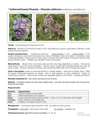 * California/Coastal Phacelia – Phacelia californica

(fa-SEE-lee-uh kal-ih-FOR-nik-uh )

Family: Hydrophyllaceae (Waterleaf Family)
Native to: Northern & Central CA coast to OR; rocky bluffs and canyons, mostly below 1,500 feet, in north
coastal scrub and chaparral.
herbaceous perennial
mature height: 1-3 ft.
mature width: 1-3 ft.
Lovely herbaceous perennial that grows low along immediate coast and taller in protected areas
(including gardens). Leaves dark to silver-green, crinkled with hairs typical of Phacelia species (may
cause mild skin rash). Foliage may die back in late summer/fall.

Growth characteristics:

Blooms from mid spring into summer (Apr-Aug depending on water). Among the
most showy of our CA native phacelias. Flowers small, usually light lavender/purple but may be
white to blue. Flowers clustered on dense, stout flowering stalks that unfurl through the season.

Blooms/fruits:

Uses in the garden: Lovely in perennial border or cottage garden – looks like a garden plant. Good
for erosion control/groundcover on slopes. Nice in rock gardens or large containers. Makes an
interesting cut flower. Good choice in/near the vegetable garden or fruit trees – attracts pollinators.

Sensible substitute for: Non-native spring/summer flowers.
Attracts: Excellent butterfly & native bee habitat plant - provides abundant nectar over long period.
Birds eat the seeds.

Requirements:
Element
Sun
Soil
Water
Fertilizer
Other

Requirement

Full sun (best) to part-shade.
Well-drained best; any local pH.
Looks best with some summer water – Zone 2 to 2-3; dies back with drought.
None needed, but probably OK.
Organic or inorganic mulch is fine.

Management:

Prune back dead branches in fall. Re-seeds on bare ground.

Propagation: from seed: fairly easy; fresh seed

by cuttings: probably not

Plant/seed sources (see list for source numbers): 5, 19, 31

6/27/11
© Project SOUND

 
