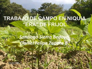 TRABAJO DE CAMPO EN NIQUIA
     “ERA” DE FRIJOL

     Santiago Sierra Bedoya
     Daniel Felipe Zapata B.
 