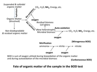 Fate of organic matter of the sample in the BOD test
Organic Matter
(dissolved)
Non-biodegradable
& residual organic matter
Suspended & colloidal
organic matter
oxygen
CO2, H2O, NH3, Energy, etc.
New heterotrophic
Microbial biomass
Auto-oxidation
CO2, H2O, NH3, Energy, etc.
ammonia
oxygen
nitrite nitrate
oxygen
(Nitrogenous BOD)
BOD is sum of oxygen utilized during biooxidation of the organic matter
and during autooxidation of the microbial biomass
(Carbonaceous BOD)
oxygen
Nitrification
Residual biomass
Cell debris
hydrolysis
 