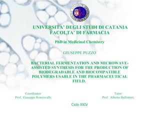 UNIVERSITA’ DEGLI STUDI DI CATANIA
                 FACOLTA’ DI FARMACIA
                              PhD in Medicinal Chemistry

                                  GIUSEPPE PUZZO

           BACTERIAL FERMENTATION AND MICROWAVE-
           ASSISTED SYNTHESIS FOR THE PRODUCTION OF
              BIODEGRADABLE AND BIOCOMPATIBLE
           POLYMERS USABLE IN THE PHARMACEUTICAL
                            FIELD.


       Coordinator:                                            Tutor:
Prof. Giuseppe Ronsisvalle.                           Prof. Alberto Ballistreri.

                                      Ciclo XXIV
 