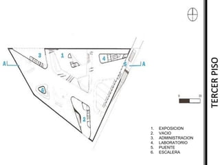 TERCER PISO
1.
2.
3.
4.
5.
6.

EXPOSICION
VACIO
ADMINISTRACION
LABORATORIO
PUENTE
ESCALERA

 