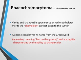 Phaeochromocytoma a case Slide 36