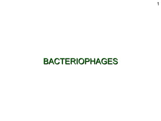 BACTERIOPHAGES 1 