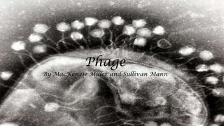Phage

By MacKenzie Miller and Sullivan Mann

 