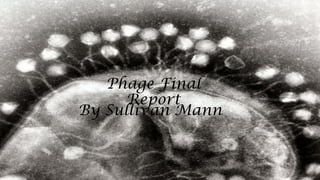 Phage Final
Report
By Sullivan Mann

 