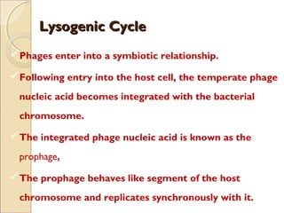 Lysogenic CycleLysogenic Cycle
Phages enter into a symbiotic relationship.
Following entry into the host cell, the temperate phage
nucleic acid becomes integrated with the bacterial
chromosome.
The integrated phage nucleic acid is known as the
prophage.
The prophage behaves like segment of the host
chromosome and replicates synchronously with it.
 