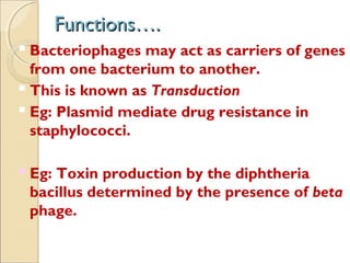 Functions….Functions….
 Bacteriophages may act as carriers of genes
from one bacterium to another.
 This is known as Transduction
 Eg: Plasmid mediate drug resistance in
staphylococci.
 Eg: Toxin production by the diphtheria
bacillus determined by the presence of beta
phage.
 