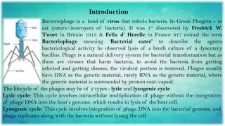 Phage or Bacteriophage as Vector ...pptx