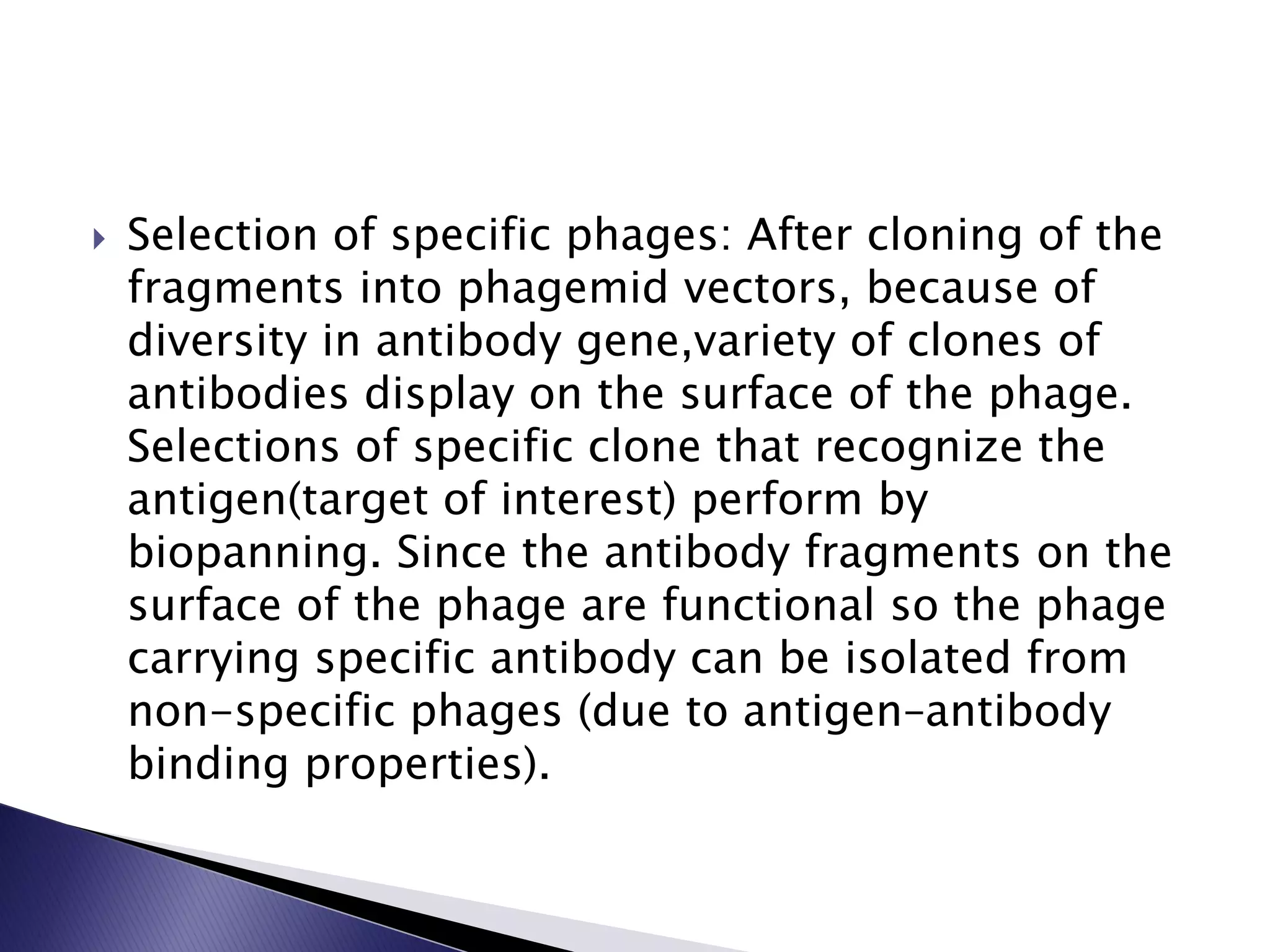  Selection of specific phages: After cloning of the
fragments into phagemid vectors, because of
diversity in antibody gene,variety of clones of
antibodies display on the surface of the phage.
Selections of specific clone that recognize the
antigen(target of interest) perform by
biopanning. Since the antibody fragments on the
surface of the phage are functional so the phage
carrying specific antibody can be isolated from
non-specific phages (due to antigen–antibody
binding properties).
 