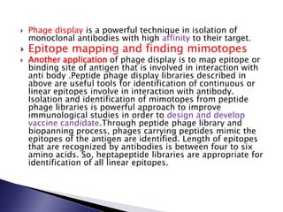  Phage display is a powerful technique in isolation of
monoclonal antibodies with high affinity to their target.
 Epitope mapping and finding mimotopes
 Another application of phage display is to map epitope or
binding site of antigen that is involved in interaction with
anti body .Peptide phage display libraries described in
above are useful tools for identification of continuous or
linear epitopes involve in interaction with antibody.
Isolation and identification of mimotopes from peptide
phage libraries is powerful approach to improve
immunological studies in order to design and develop
vaccine candidate.Through peptide phage library and
biopanning process, phages carrying peptides mimic the
epitopes of the antigen are identified. Length of epitopes
that are recognized by antibodies is between four to six
amino acids. So, heptapeptide libraries are appropriate for
identification of all linear epitopes.
 