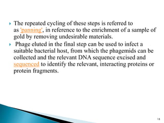  The repeated cycling of these steps is referred to
as 'panning', in reference to the enrichment of a sample of
gold by removing undesirable materials.
 Phage eluted in the final step can be used to infect a
suitable bacterial host, from which the phagemids can be
collected and the relevant DNA sequence excised and
sequenced to identify the relevant, interacting proteins or
protein fragments.
18
 