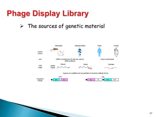 37
 The sources of genetic material
 