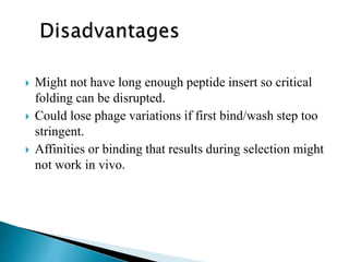  Might not have long enough peptide insert so critical
folding can be disrupted.
 Could lose phage variations if first bind/wash step too
stringent.
 Affinities or binding that results during selection might
not work in vivo.
 