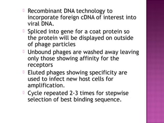 Phage display and its applications | PPT