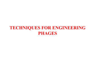 TECHNIQUES FOR ENGINEERING
PHAGES
 