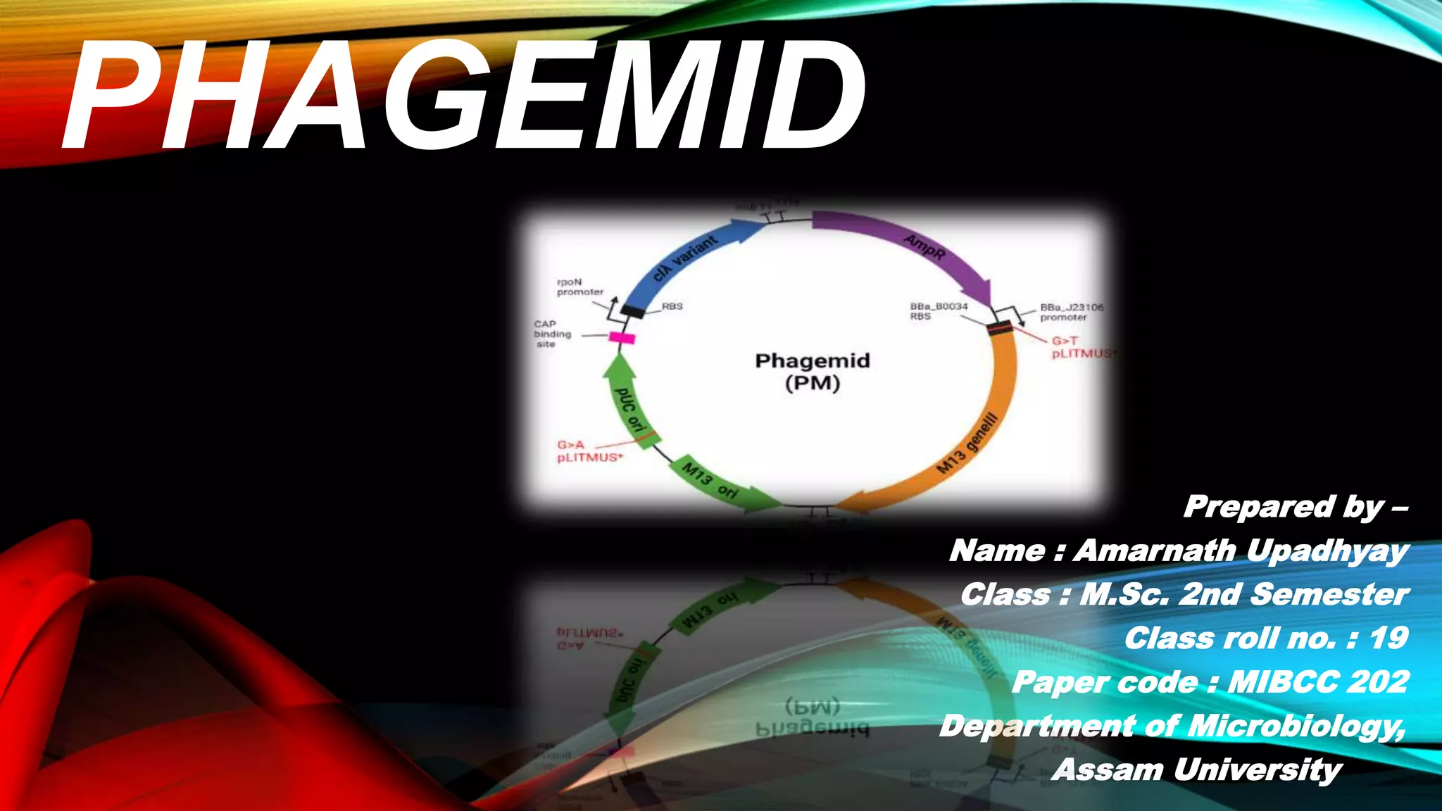 PHAGEMID.pdf