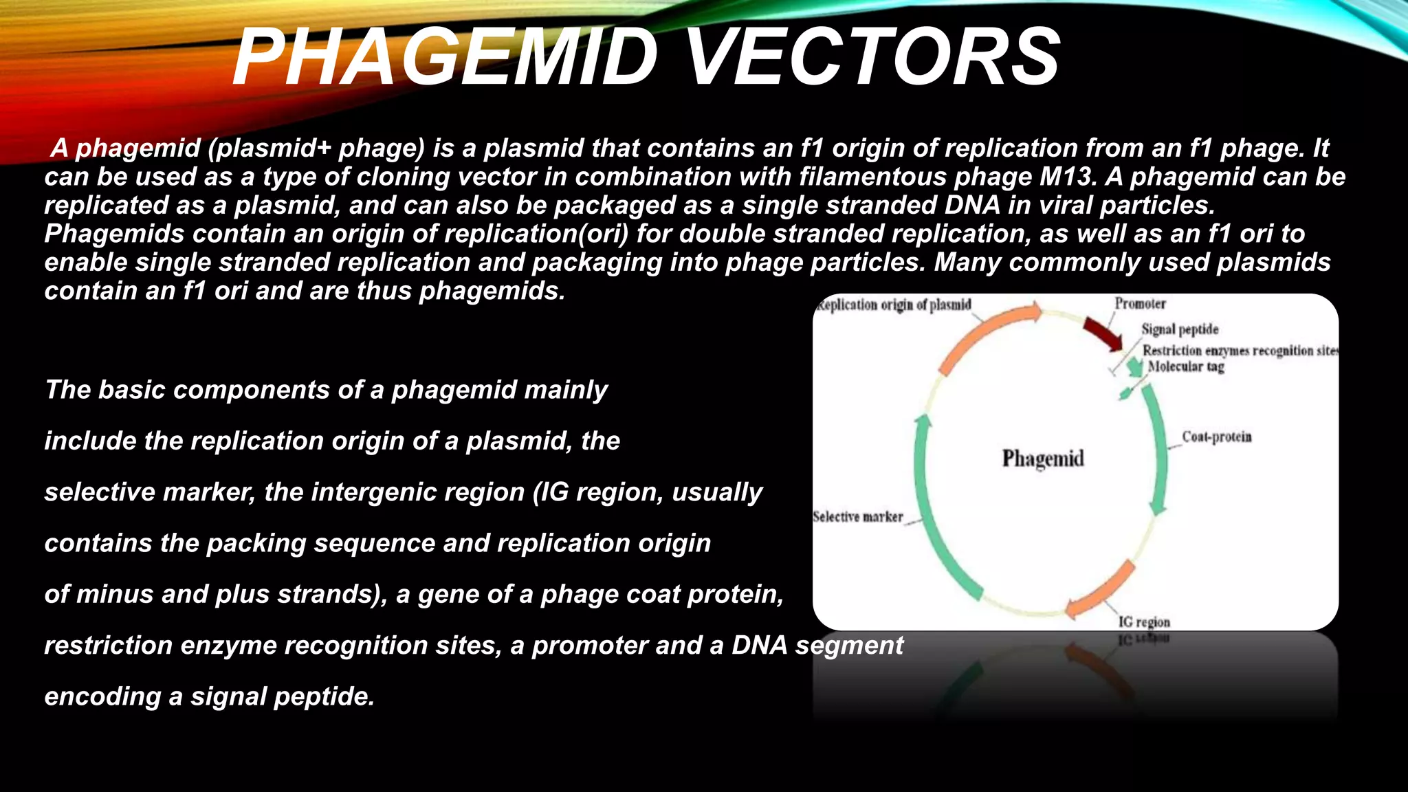PHAGEMID.pdf