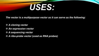 USES:
The vector is a multipurpose vector as it can serve as the following:
 A cloning vector
 An expression vector
 A sequencing vector
 A ribo-probe vector (used as RNA probes)
 