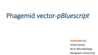 Phagemid vector-pBluescript
Submitted by,
Vivek kumar
M.Sc Microbiology
Bangalore University
 