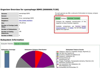 phiRAST Tutorial - The 19th Evergreen Phage Meeting 2011