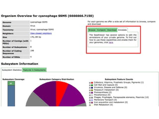 phiRAST Tutorial - The 19th Evergreen Phage Meeting 2011