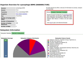phiRAST Tutorial - The 19th Evergreen Phage Meeting 2011