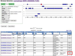 phiRAST Tutorial - The 19th Evergreen Phage Meeting 2011