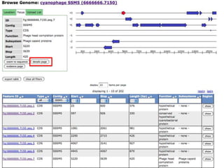 phiRAST Tutorial - The 19th Evergreen Phage Meeting 2011