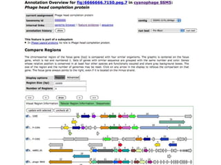 phiRAST Tutorial - The 19th Evergreen Phage Meeting 2011