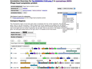 phiRAST Tutorial - The 19th Evergreen Phage Meeting 2011