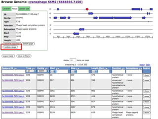 phiRAST Tutorial - The 19th Evergreen Phage Meeting 2011